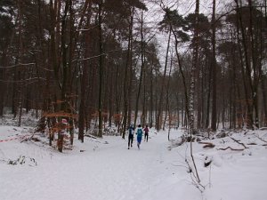 Crosslauf Bergedorf 027